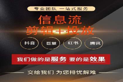 顶级SEM运营公司案例分析